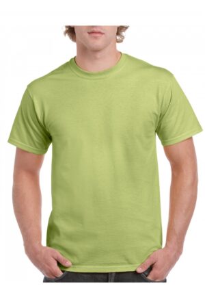 Ultra Cotton Classic Fit Adult T-shirt Pistachio (x72)