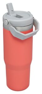 The IceFlow Flip Straw Tumbler 0.89L Guava