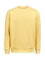 UM Crewneck Regular Fit Unisex Ray