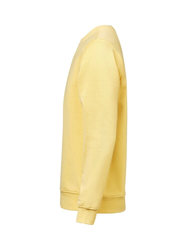 UM Crewneck Regular Fit Unisex Ray