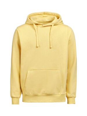 UM Hoodie Regular Fit Unisex Ray