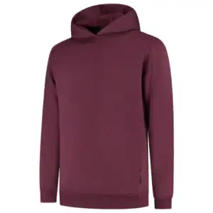 Hoodie Redefined Bordeaux