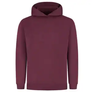 Hoodie Redefined Bordeaux