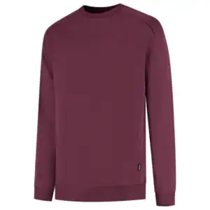 Sweater met Ronde Hals Redefined Bordeaux