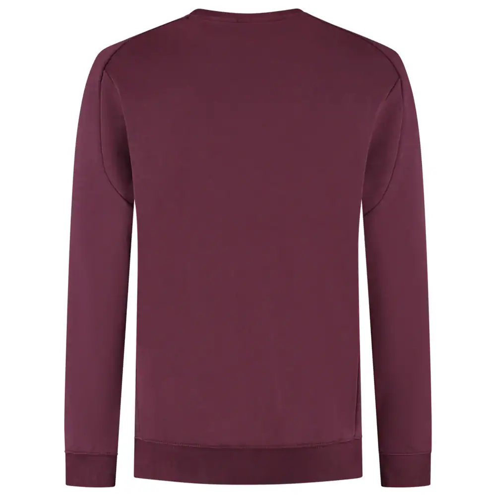 Sweater met Ronde Hals Redefined Bordeaux