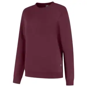 Sweater met Ronde Hals Redefined Dames Bordeaux