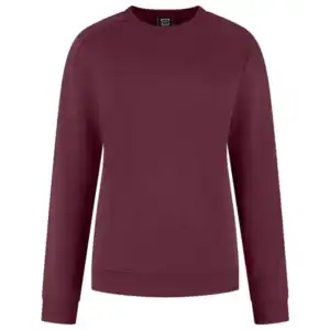 Sweater met Ronde Hals Redefined Dames Bordeaux